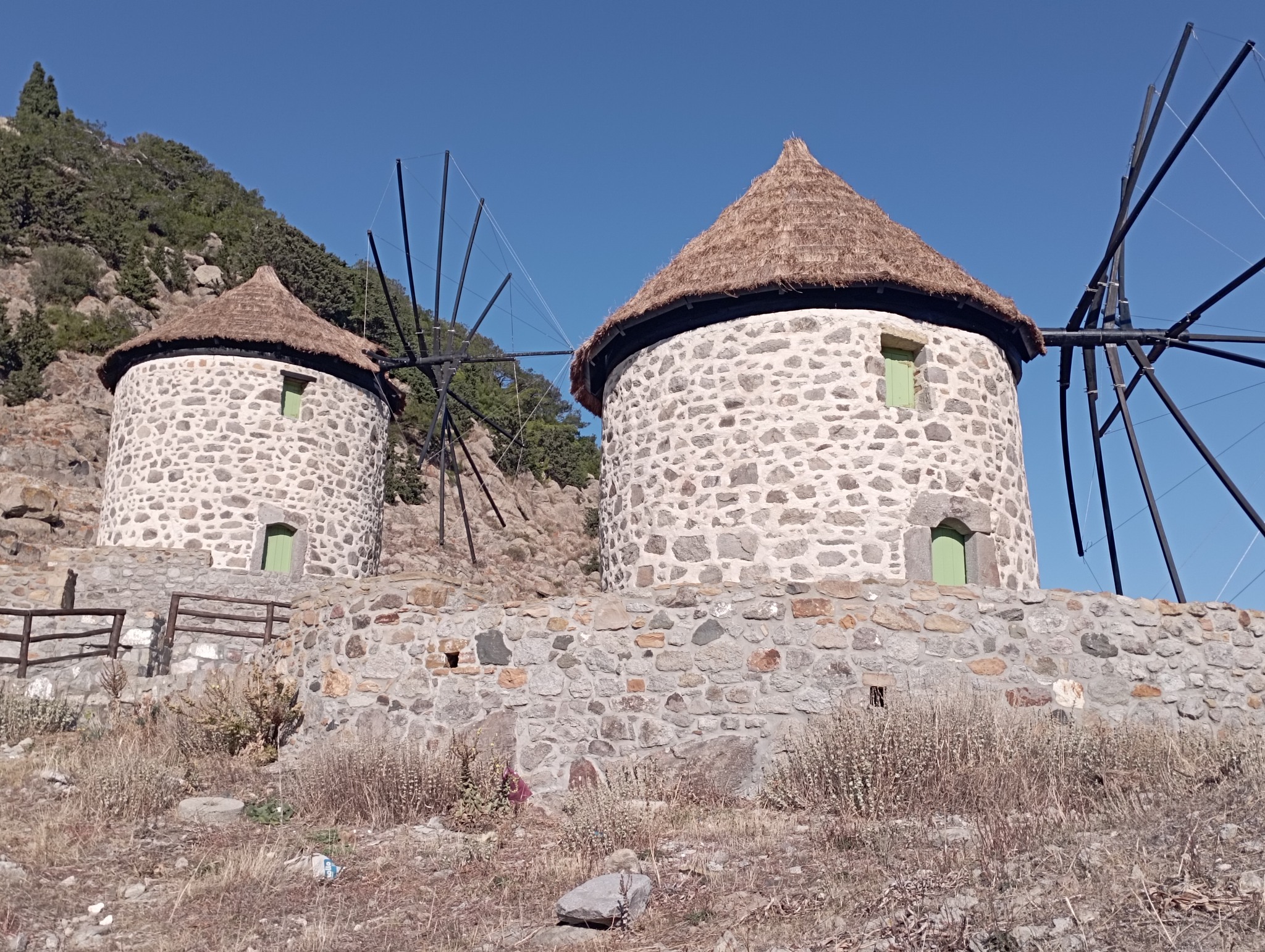 314374950 5602892839747677 3492867234266503396 n