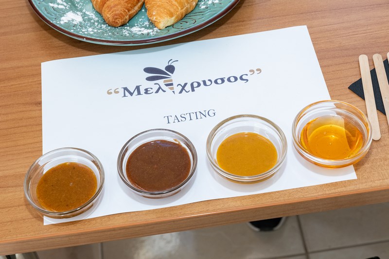 Lemnos Philema 2022 photo by Pantelis Pravlis Melichrysos 9