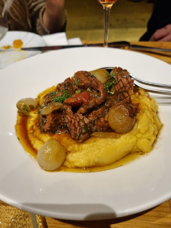 Lemnos Philema X Phita 2022 3