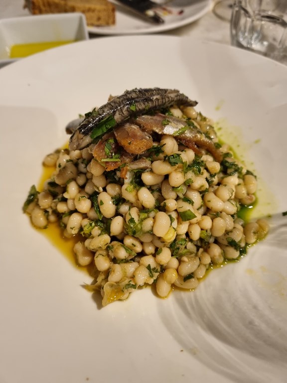 Lemnos Philema X Phita 2022 5