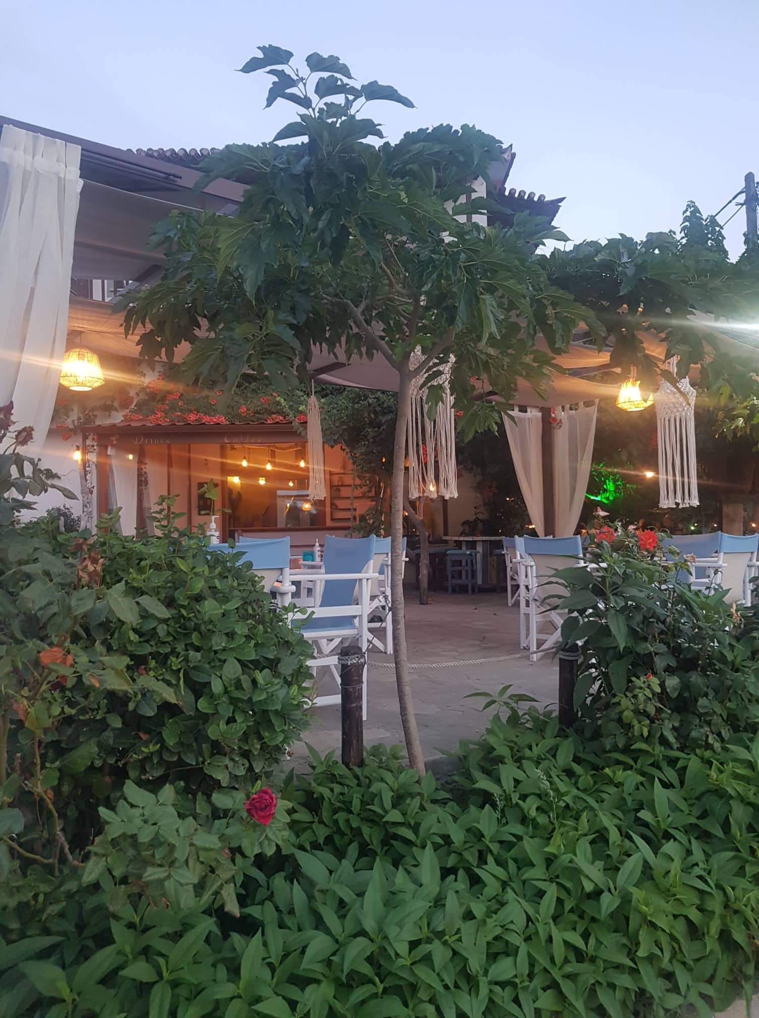 cafe bar to kyma1