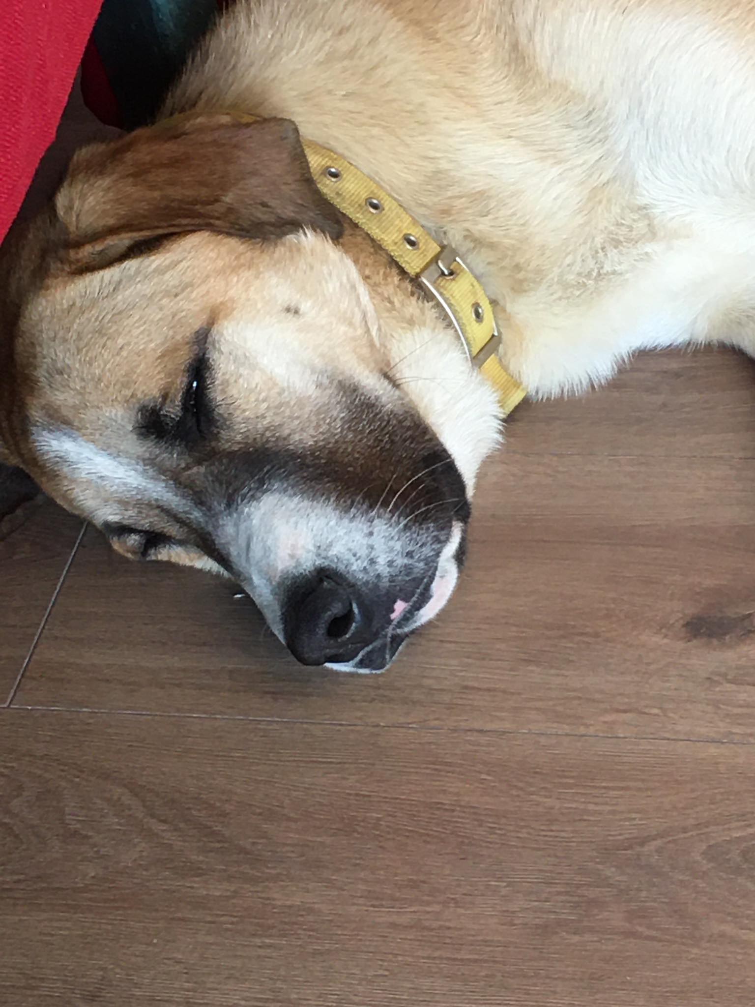 max2