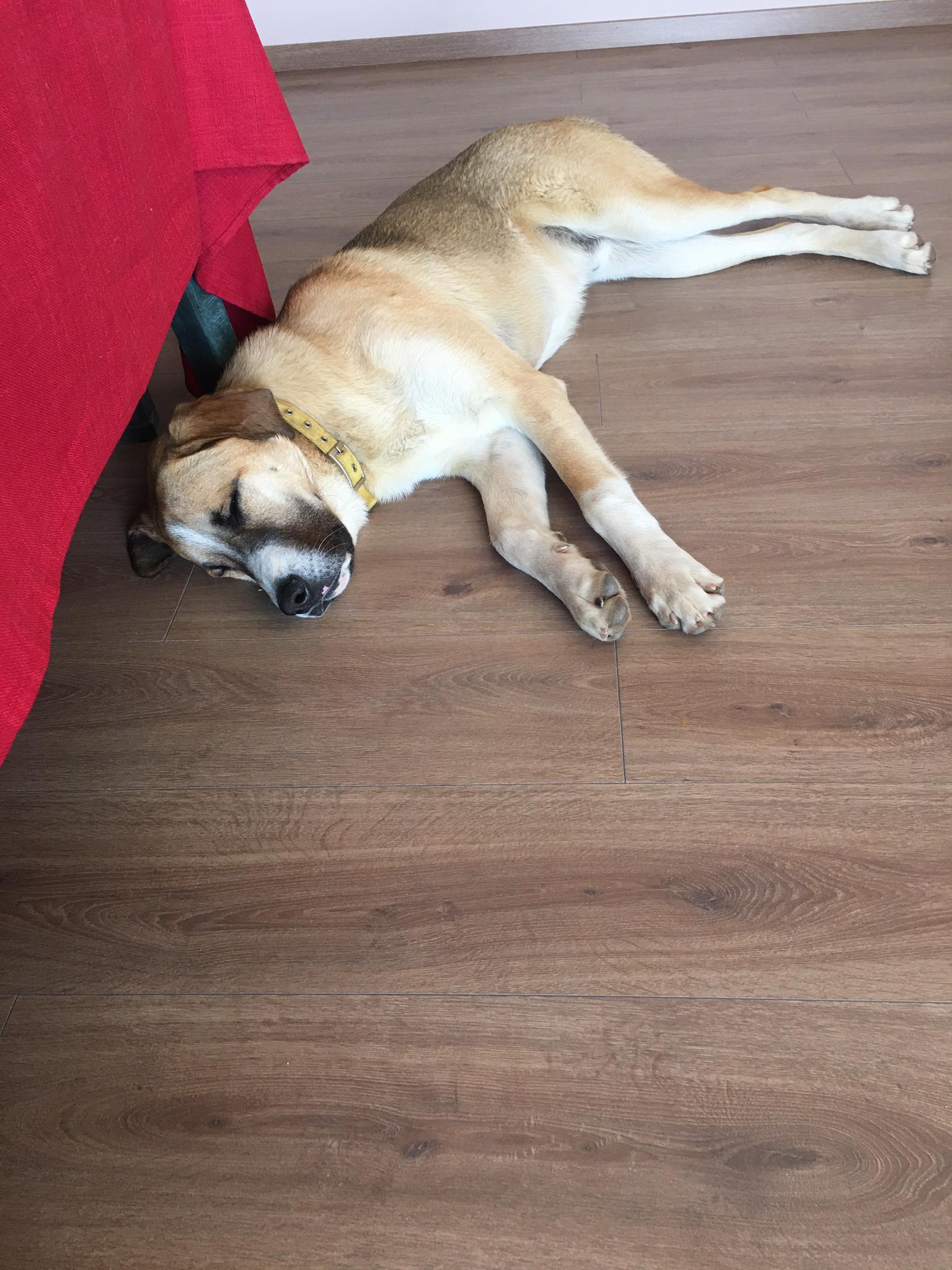 max3