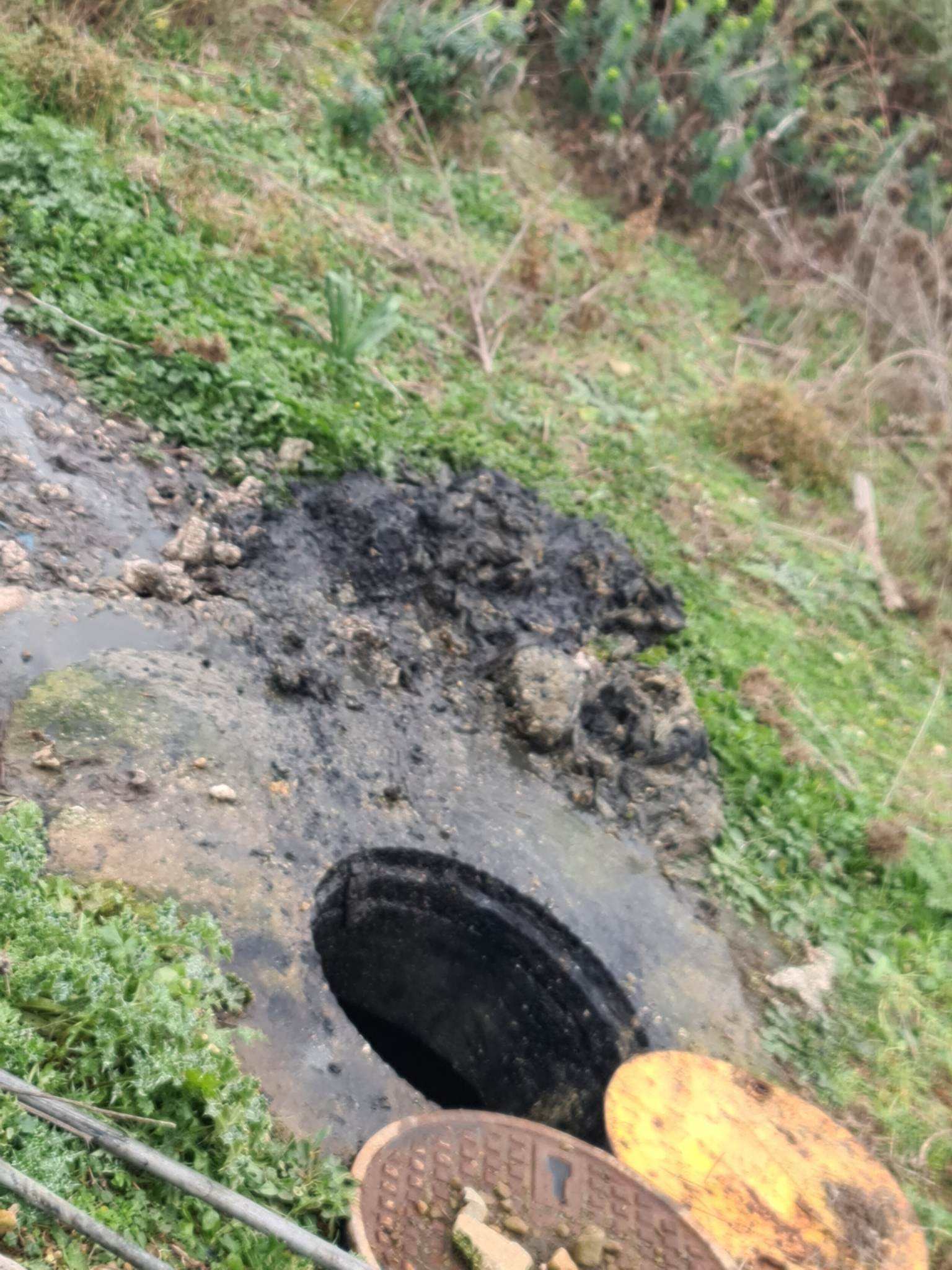 325624678 1273100940216183 6503434693578044484 n