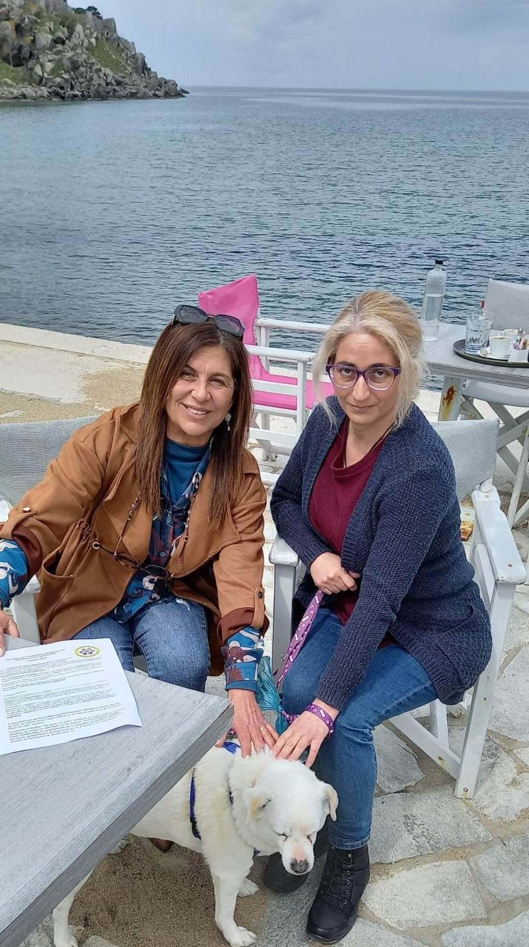 339620350 1325401398013654 5506992428796760755 n