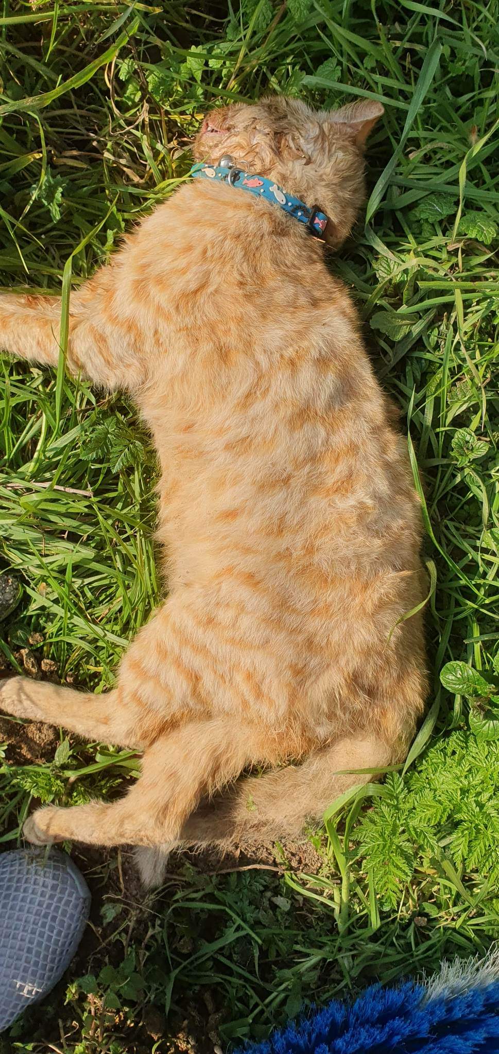 received 557213156375559