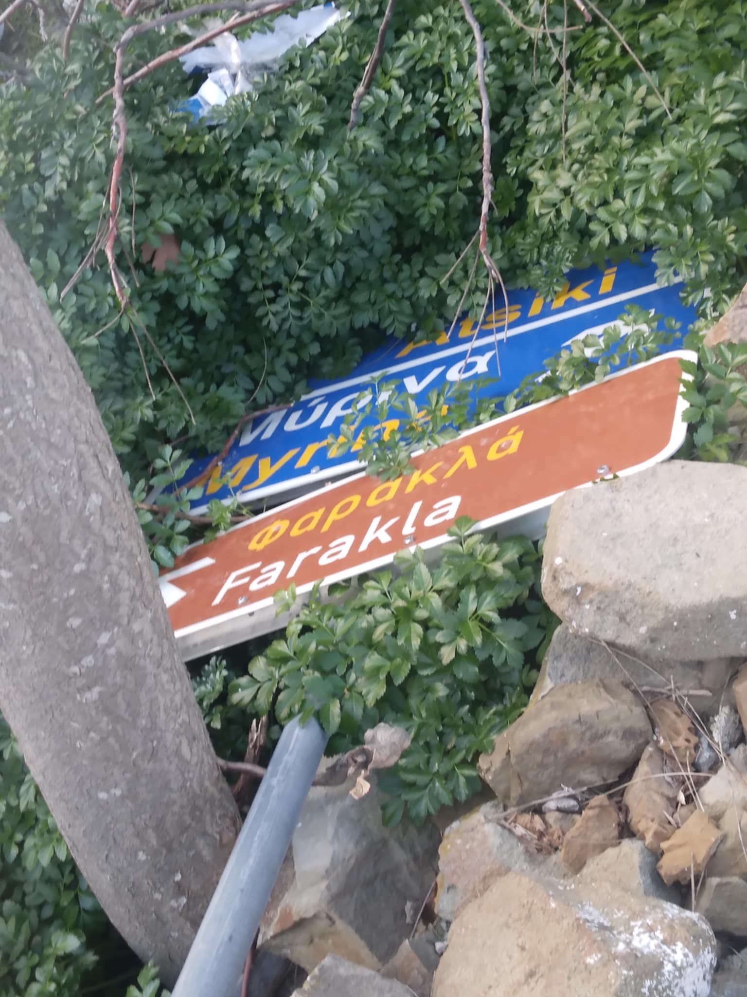 3045fb87 98d7 4aa5 a586 c10584013cf6