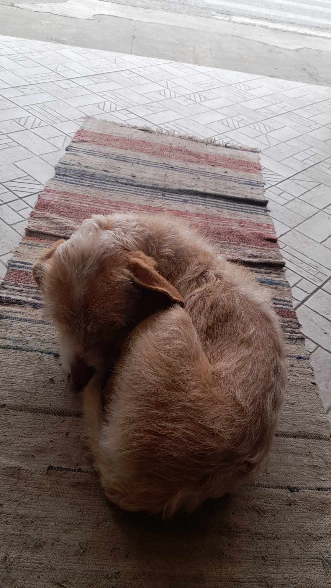 405108662 1923074884775638 7015761750521112341 n