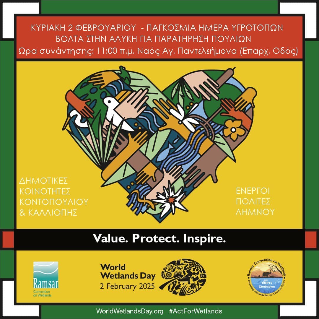 475424299 921713843490805 3102884092832524864 n