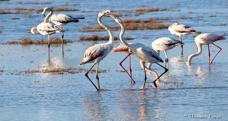 a37ec280234debd6ac1f1855121caf51 L