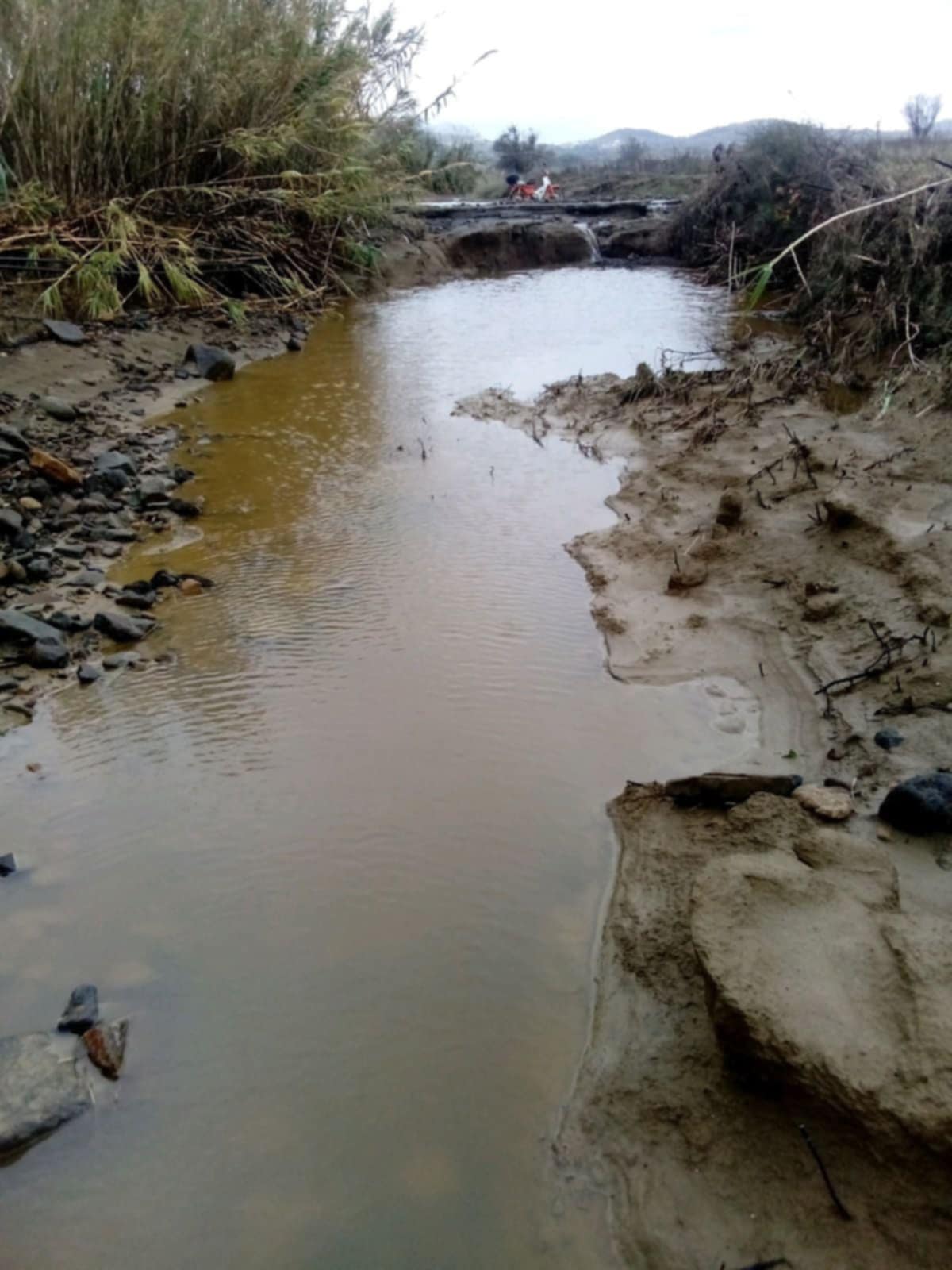 ba45a5bc 3920 4b06 bc34 346c75501ff2