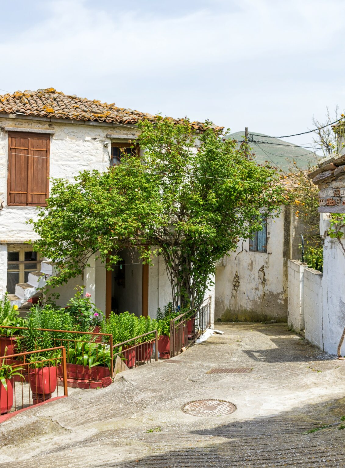 kaspakas lemnos 1132x1536