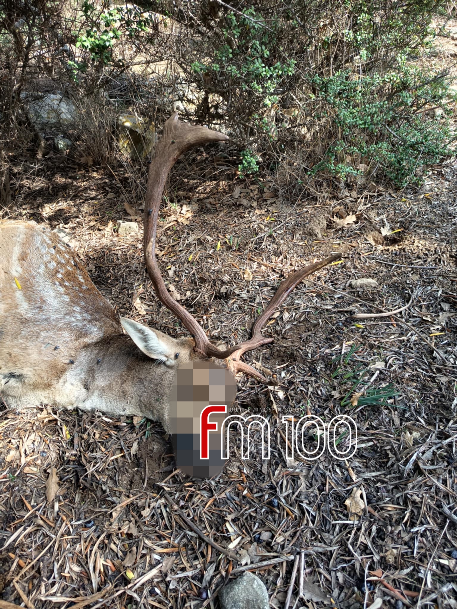 445705cc e3f3 4276 b9e1 4a49b6038a4c