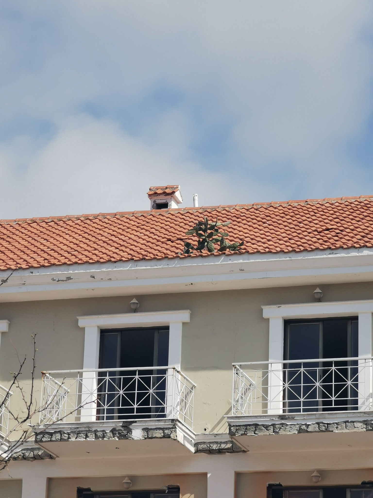 482022996 10233914803388121 3620566671943401754 n