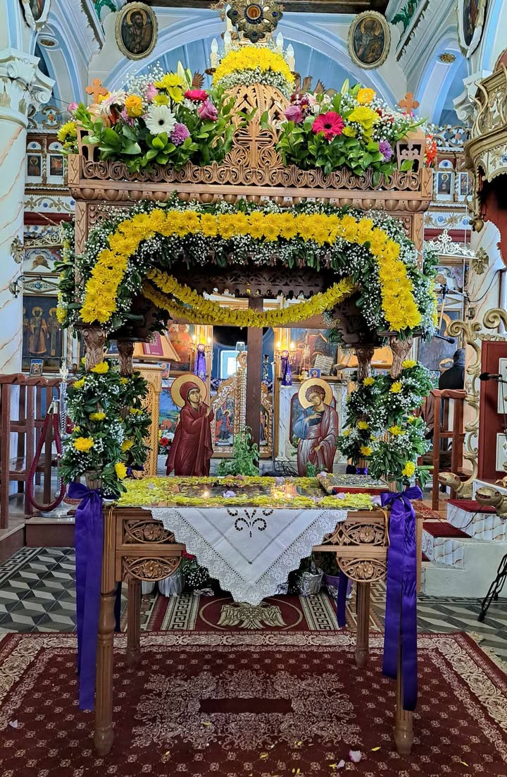 491340857 4121913894707062 3196116896799021953 n