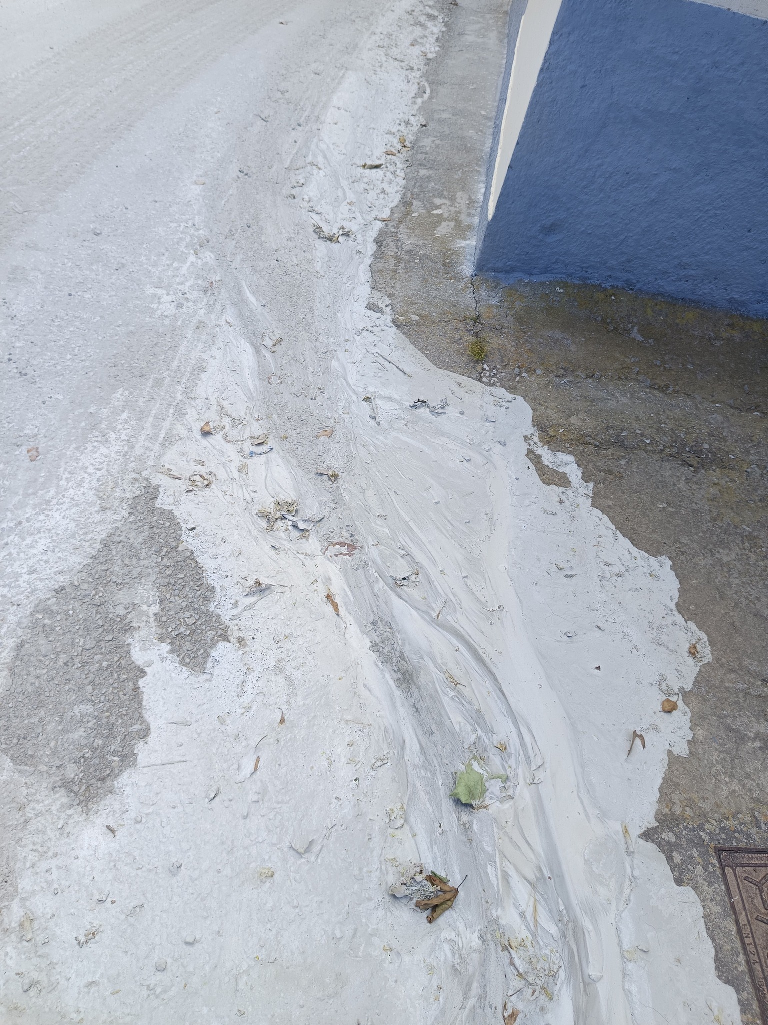 498691875 1242322380571464 7733079531615387934 n