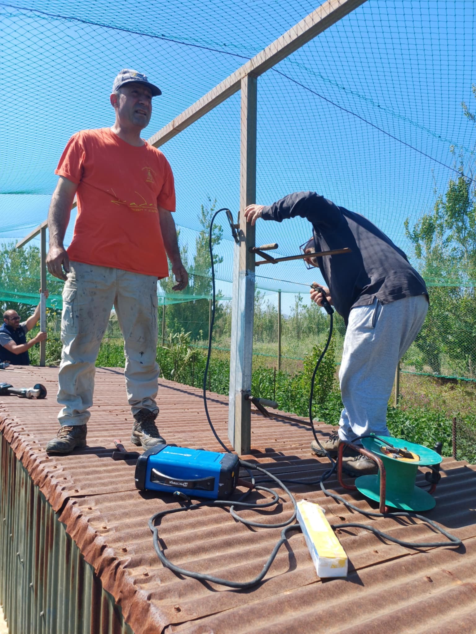 503360905 9191680274267096 2349812392563280097 n