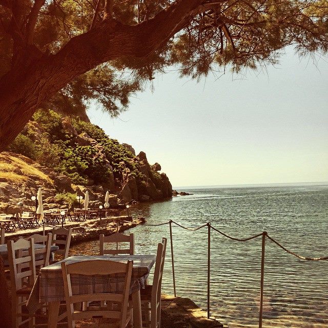 11266630 1126323010716899 9186818508168669289 n