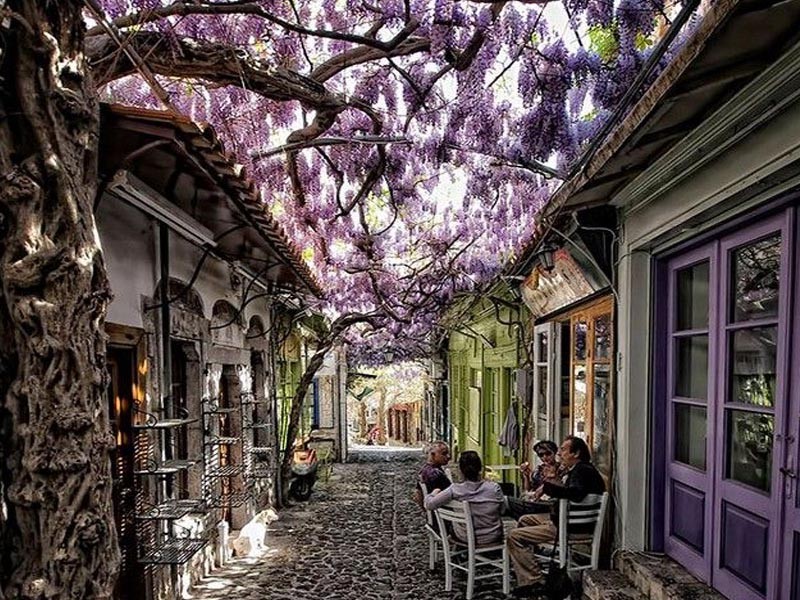 lesvos-dromos