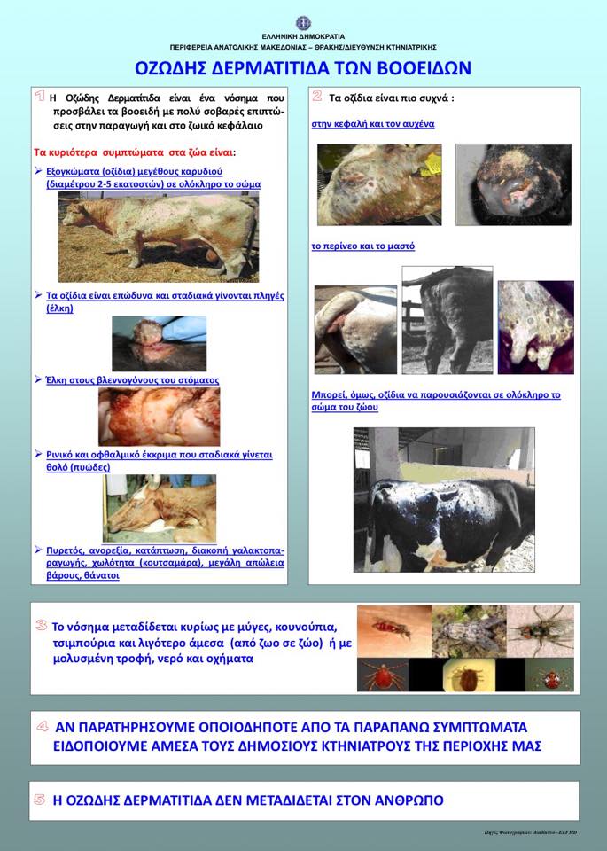 11948190 10200815765472013 1165540074 n