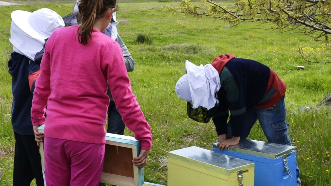 idryma-latsi-limnos-2