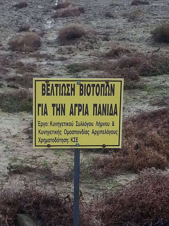 veltiwsi-kynhgetikos-syllogos-limnou