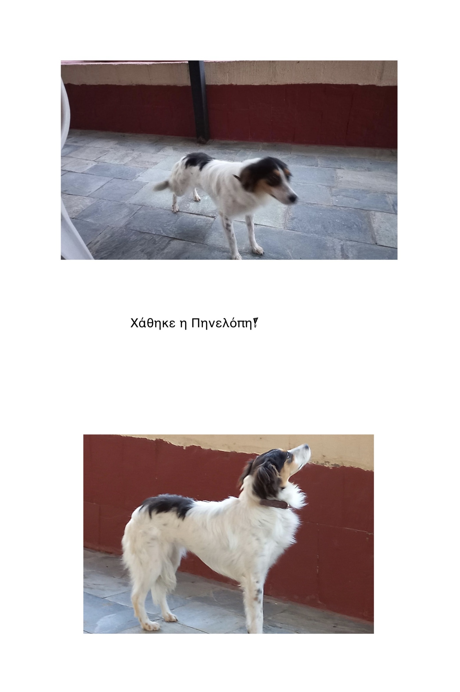 DF5FFA57 C60B 430D A53F B42DB73E521F