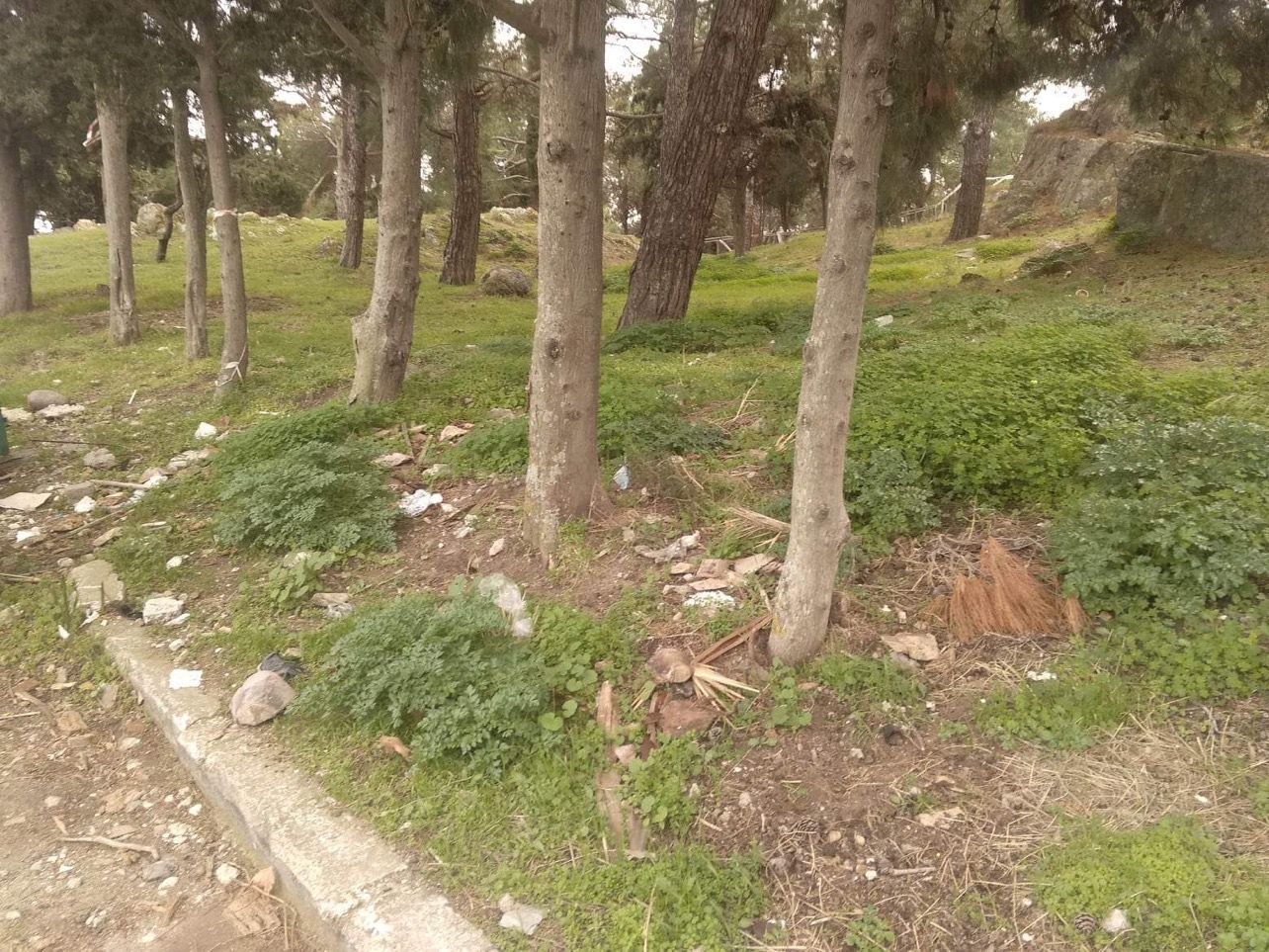 FE97C57D 6A40 4B6A A6C3 5DDC2318C066