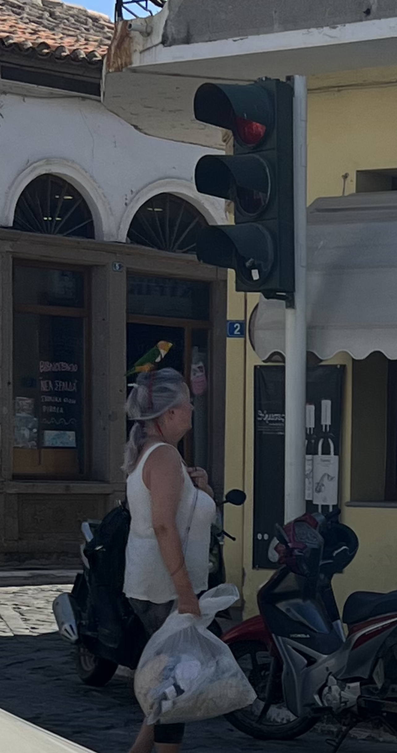 IMG 2526