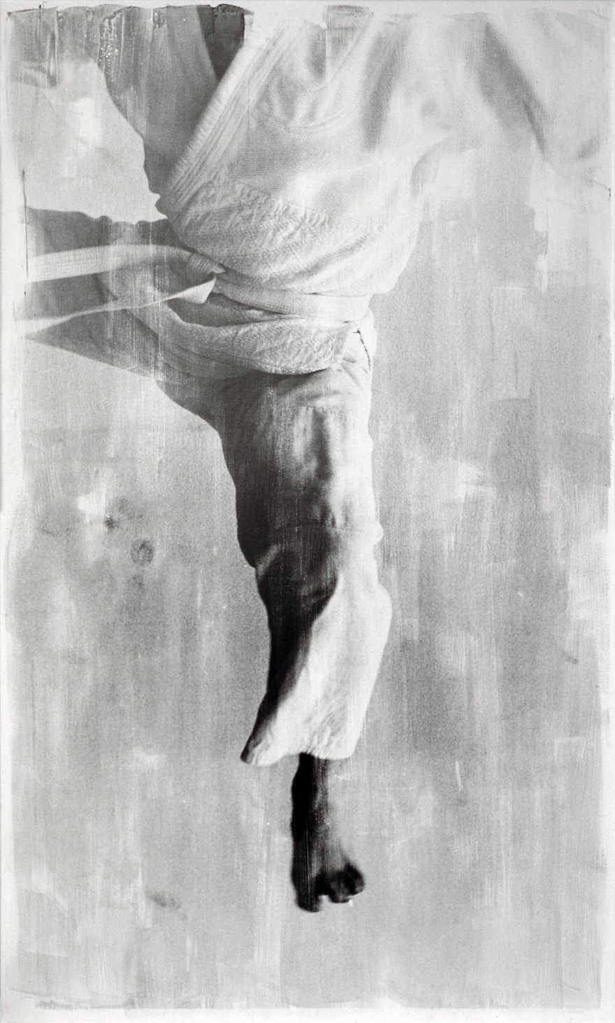 iaponia 194x115 2000