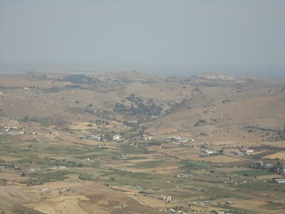 DSC00993