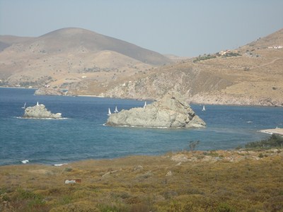 DSC01022