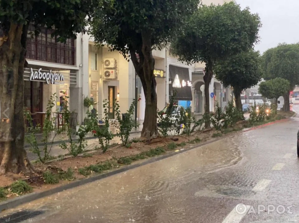 kakokairia kalamata 559