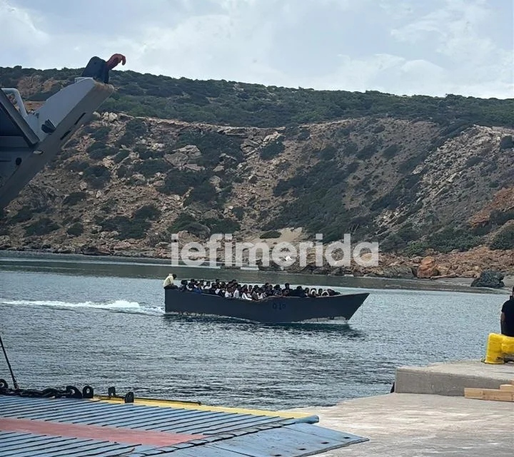 metanastes barka4848