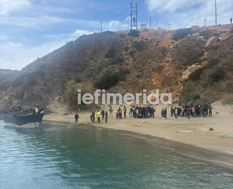 metanastes gaydos4185