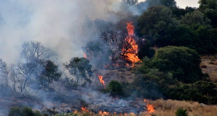&Mu;&epsilon;&gamma;ά&lambda;&eta; &phi;&omega;&tau;&iota;ά &sigma;&tau;&eta;&nu; &Epsilon;ύ&beta;&omicron;&iota;&alpha;: &Zeta;&eta;&tau;ή&theta;&eta;&kappa;&epsilon; &epsilon;&kappa;&kappa;έ&nu;&omega;&sigma;&eta; &chi;&omega;&rho;&iota;&omicron;ύ | O &kappa;&alpha;&pi;&nu;ό&sigmaf; έ&phi;&tau;&alpha;&sigma;&epsilon; &mu;έ&chi;&rho;&iota; &tau;&eta;&nu; &Alpha;&tau;&tau;&iota;&kappa;ή