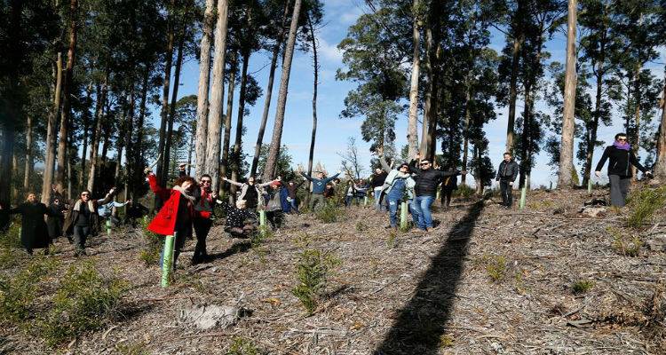 Tandem Europe : &Alpha;&pi;ό &tau;&eta;&nu; &Pi;&omicron;&rho;&tau;&omicron;&gamma;&alpha;&lambda;ί&alpha; &pi;ά&epsilon;&iota; Ά&eta;  &Sigma;&tau;&rho;ά&tau;&eta; (photos)