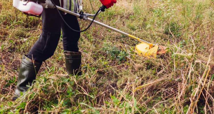 &Delta;&eta;&mu;&omicron;&sigma;&iota;&epsilon;ύ&theta;&eta;&kappa;&epsilon; &eta; &Kappa;&Upsilon;&Alpha; &gamma;&iota;&alpha; &tau;&omicron;&nu; &kappa;&alpha;&theta;&alpha;&rho;&iota;&sigma;&mu;ό &omicron;&iota;&kappa;&omicron;&pi;έ&delta;&omega;&nu; | &Pi;&omicron;&iota;&epsilon;&sigmaf; &alpha;&lambda;&lambda;&alpha;&gamma;έ&sigmaf; &epsilon;&iota;&sigma;ά&gamma;&omicron;&nu;&tau;&alpha;&iota; &gamma;&iota;&alpha; &tau;&iota;&sigmaf; &upsilon;&pi;&omicron;&chi;&rho;&epsilon;ώ&sigma;&epsilon;&iota;&sigmaf; &tau;&omega;&nu; &pi;&omicron;&lambda;&iota;&tau;ώ&nu;