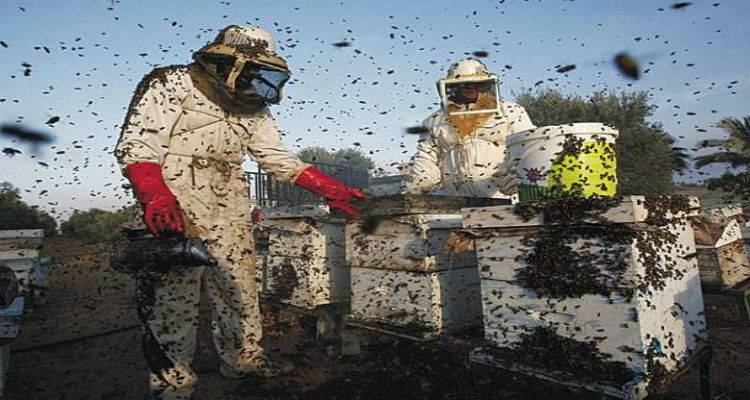 &Delta;&eta;&mu;&iota;&omicron;&upsilon;&rho;&gamma;ί&alpha; &eta;&lambda;&epsilon;&kappa;&tau;&rho;&omicron;&nu;&iota;&kappa;&omicron;ύ &mu;&eta;&tau;&rho;ώ&omicron;&upsilon; &mu;&epsilon;&lambda;&iota;&sigma;&sigma;&omicron;&pi;&alpha;&rho;&alpha;&gamma;&omega;&gamma;ώ&nu; &sigma;&tau;&eta; &Lambda;ή&mu;&nu;&omicron;