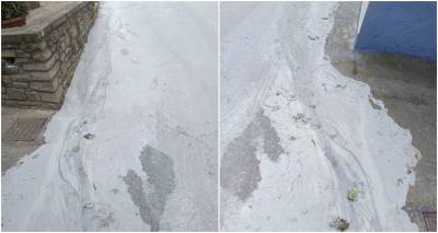 &Delta;ά&phi;&nu;&eta;: &Alpha;&pi;ό&pi;&lambda;&upsilon;&sigma;&eta; &mu;&pi;&epsilon;&tau;&omicron;&nu;&iota;έ&rho;&alpha;&sigmaf; &mu;έ&sigma;&alpha; &sigma;&tau;&omicron;&nu; &omicron;&iota;&kappa;&iota;&sigma;&mu;ό; | &Delta;ό&theta;&eta;&kappa;&alpha;&nu; &delta;&iota;&epsilon;&upsilon;&kappa;&rho;&iota;&nu;ί&sigma;&epsilon;&iota;&sigmaf;