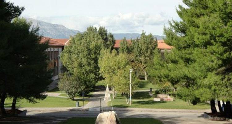 &Sigma;ά&lambda;&omicron;&sigmaf; &gamma;&iota;&alpha; &tau;&omicron;&upsilon;&sigmaf; 106 &phi;&omicron;&iota;&tau;&eta;&tau;έ&sigmaf; &pi;&omicron;&upsilon; &pi;&alpha;&rho;έ&delta;&omega;&sigma;&alpha;&nu; ί&delta;&iota;&alpha; &epsilon;&rho;&gamma;&alpha;&sigma;ί&alpha; &sigma;&tau;&eta;&nu; &Pi;ά&tau;&rho;&alpha;