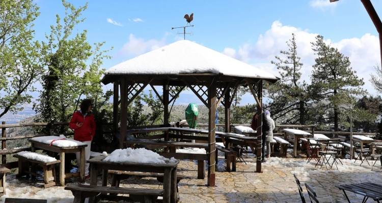 &Gamma;&iota;&alpha;&tau;ί &epsilon;ί&delta;&alpha;&mu;&epsilon; &tau;ό&sigma;&alpha; &chi;&iota;ό&nu;&iota;&alpha; &tau;&omicron;&nu; &Mu;ά&iota;&omicron;: &Tau;&omicron; &pi;&iota;&omicron; &alpha;&kappa;&rho;&alpha;ί&omicron; &phi;&alpha;&iota;&nu;ό&mu;&epsilon;&nu;&omicron; &tau;&omega;&nu; &tau;&epsilon;&lambda;&epsilon;&upsilon;&tau;&alpha;ί&omega;&nu; 40 &epsilon;&tau;ώ&nu; &pi;&omicron;&upsilon; &laquo;&alpha;&nu;&alpha;&pi;&omicron;&delta;&omicron;&gamma;ύ&rho;&iota;&sigma;&epsilon;&raquo; &tau;&eta;&nu; &Epsilon;&upsilon;&rho;ώ&pi;&eta;