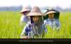 Myanmar