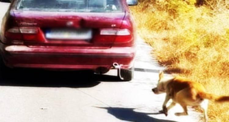 φωτογραφία αρχείου 