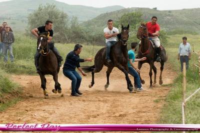 &Omicron;&iota; &nu;&iota;&kappa;&eta;&tau;έ&sigmaf; &tau;&omicron;&upsilon; &pi;&alpha;&tau;&rho;&omicron;&pi;&alpha;&rho;ά&delta;&omicron;&tau;&omicron;&upsilon; &epsilon;&theta;ί&mu;&omicron;&upsilon; &tau;&omega;&nu; &iota;&pi;&pi;&omicron;&delta;&rho;&omicron;&mu;&iota;ώ&nu; &sigma;&tau;&eta;&nu; &Kappa;&alpha;&lambda;&lambda;&iota;ό&pi;&eta; (photos)