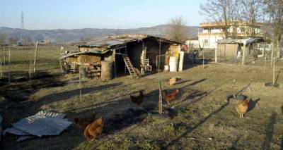 &Beta;ό&lambda;&omicron;&sigmaf;: &Zeta;&epsilon;&iota; &epsilon;&pi;&tau;ά &mu;ή&nu;&epsilon;&sigmaf; &sigma;&tau;&omicron; &kappa;&omicron;&tau;έ&tau;&sigma;&iota; &gamma;&iota;&alpha; &nu;&alpha; &mu;&eta;&nu; έ&chi;&epsilon;&iota; &epsilon;&pi;&alpha;&phi;ή &mu;&epsilon; &tau;&eta;&nu; &gamma;&upsilon;&nu;&alpha;ί&kappa;&alpha; &kappa;&alpha;&iota; &tau;&eta;&nu; &kappa;ό&rho;&eta; &tau;&omicron;&upsilon; | &Alpha;&pi;&epsilon;ί&lambda;&eta;&sigma;&epsilon; &nu;&alpha; &tau;&iota;&sigmaf; &theta;ά&psi;&epsilon;&iota;