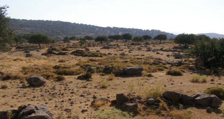 &Alpha;&lambda;&lambda;ά&zeta;&omicron;&upsilon;&nu; ό&lambda;&alpha; &sigma;&tau;&eta; &delta;&iota;&alpha;&chi;&epsilon;ί&rho;&iota;&sigma;&eta; &tau;&omega;&nu; &beta;&omicron;&sigma;&kappa;&omicron;&tau;ό&pi;&omega;&nu; | &Tau;&rho;έ&chi;&omicron;&upsilon;&nu; &gamma;&iota;&alpha; &tau;&iota;&sigmaf; &delta;&iota;&alpha;&chi;&epsilon;&iota;&rho;&iota;&sigma;&tau;&iota;&kappa;έ&sigmaf; &mu;&epsilon;&lambda;έ&tau;&epsilon;&sigmaf; &omicron;&iota; &Pi;&epsilon;&rho;&iota;&phi;έ&rho;&epsilon;&iota;&epsilon;&sigmaf;