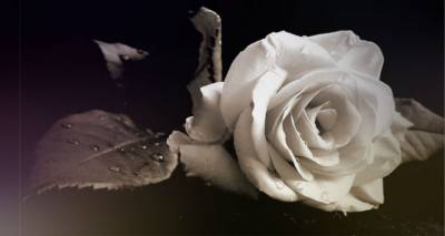 &Tau;&omicron; &tau;&epsilon;&lambda;&epsilon;&upsilon;&tau;&alpha;ί&omicron; &laquo;&delta;ώ&rho;&omicron;&raquo; &tau;&omicron;&upsilon; &Delta;&eta;&mu;ή&tau;&rho;&eta; &Mu;&alpha;&chi;&alpha;&iota;&rho;&omicron;ύ&delta;&eta; &sigma;&epsilon; &omicron;&iota;&kappa;&omicron;&gamma;έ&nu;&epsilon;&iota;&epsilon;&sigmaf; &tau;&eta;&sigmaf; &Lambda;ή&mu;&nu;&omicron;&upsilon;