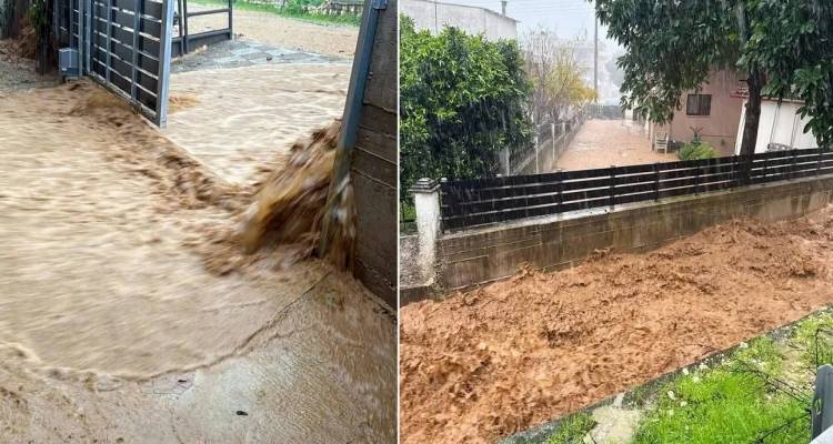 &Kappa;&alpha;&kappa;&omicron;&kappa;&alpha;&iota;&rho;ί&alpha; &sigma;&tau;&eta; &Delta;&upsilon;&tau;&iota;&kappa;ή &Epsilon;&lambda;&lambda;ά&delta;&alpha;: 112 &sigma;&epsilon; &Iota;&omega;ά&nu;&nu;&iota;&nu;&alpha;, &Zeta;&eta;&rho;ό, &Pi;&rho;έ&beta;&epsilon;&zeta;&alpha;, &Mu;&epsilon;&tau;έ&omega;&rho;&alpha; | &Mu;&epsilon;&gamma;ά&lambda;&alpha; &pi;&rho;&omicron;&beta;&lambda;ή&mu;&alpha;&tau;&alpha; &mu;&epsilon; &pi;&lambda;&eta;&mu;&mu;ύ&rho;&epsilon;&sigmaf; &kappa;&alpha;&iota; &kappa;&alpha;&tau;&omicron;&lambda;&iota;&sigma;&theta;ή&sigma;&epsilon;&iota;&sigmaf;