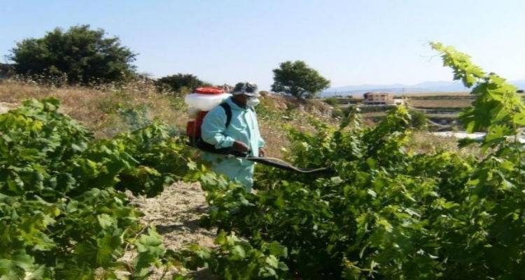 &Nu;έ&alpha; &epsilon;&nu;&eta;&mu;έ&rho;&omega;&sigma;&eta; &alpha;&pi;ό &tau;&omicron; &Tau;&mu;ή&mu;&alpha; &Alpha;&gamma;&rho;&omicron;&tau;&iota;&kappa;ή&sigmaf; &Omicron;&iota;&kappa;&omicron;&nu;&omicron;&mu;ί&alpha;&sigmaf; &Lambda;ή&mu;&nu;&omicron;&upsilon; &gamma;&iota;&alpha; &tau;&eta; &phi;&upsilon;&tau;&omicron;&pi;&rho;&omicron;&sigma;&tau;&alpha;&sigma;ί&alpha; &alpha;&mu;&pi;έ&lambda;&omicron;&upsilon;